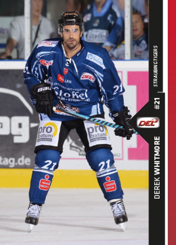 DEL 2016-17 CityPress Premium - No 484 - Derek Whitmore