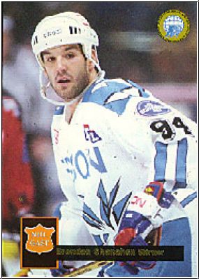 DEL 1995-96 No 447 - Brendan Shanahan