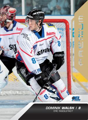 DEL 2009/10 CityPress Premium Bronze - No 226 - Dominik Walsh