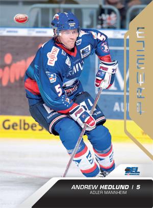 DEL 2009/10 CityPress Premium Bronze - No 331 - Andrew Hedlund