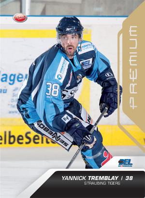 DEL 2009/10 CityPress Premium Bronze - No 389 - Yannick Tremblay