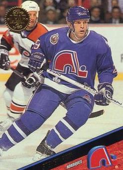 NHL 1993/94 Leaf - No. 422 - Steven Finn