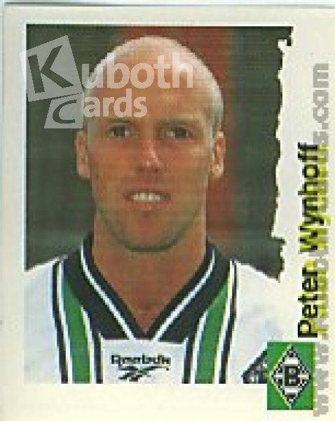 Fussball 1996 / 97 Bundesliga Panini - No 157 - Peter Wynhoff