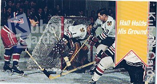 NHL 1994 / 95 Parkhurst Tall Boys - No 166 - Hall