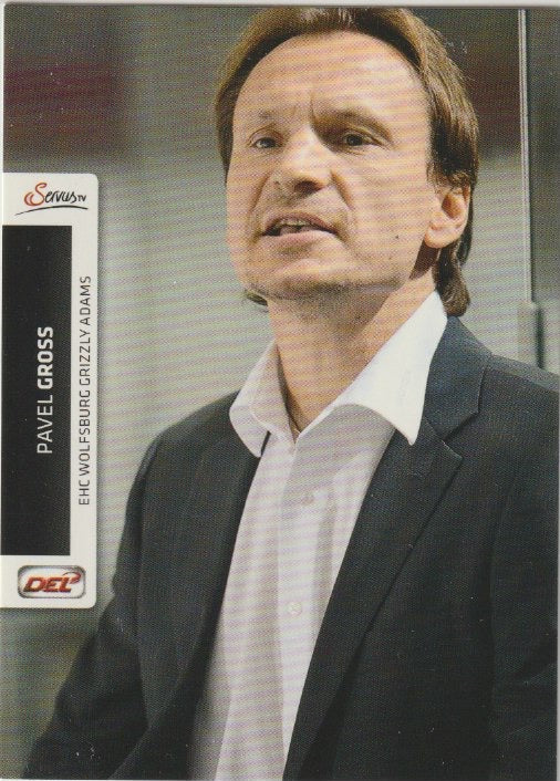 DEL 2012-13 CityPress - No 318 - Pavel Gross