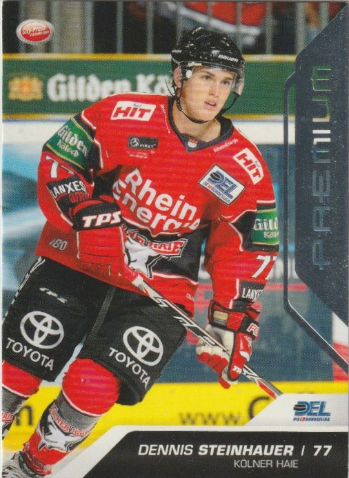 DEL 2009/10 CityPress Premium Silver - No. 303 - Dennis Steinhauer