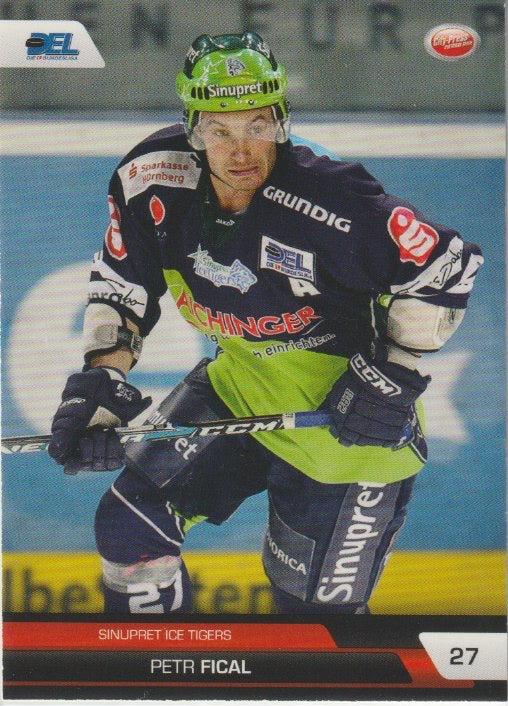 DEL 2008/09 CityPress - No 300 - Petr Fical