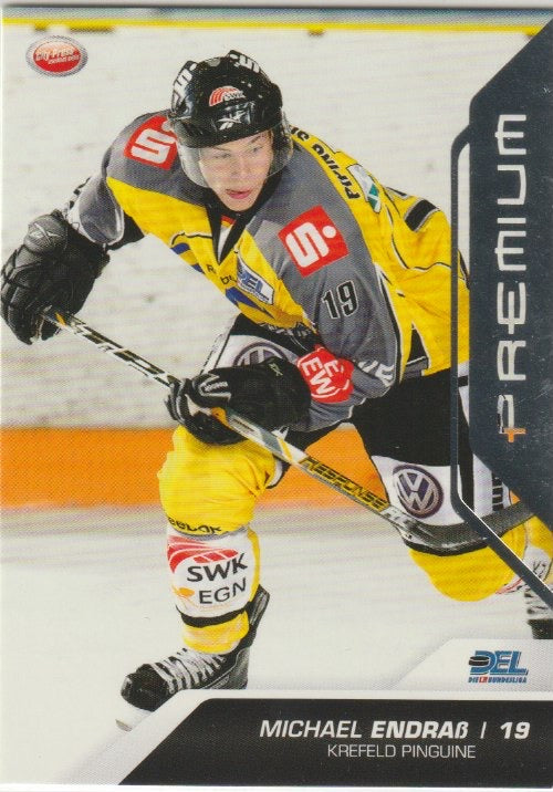 DEL 2009 / 10 CityPress Premium Silver - No 315 - Michael Endraß