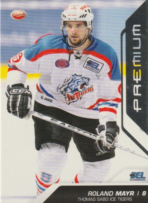 DEL 2009 / 10 CityPress Premium Silver - No 354 - Roland Mayr