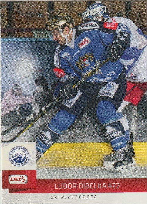 DEL 2014-15 CityPress DEL2 - No 114 - Lubor Dibelka