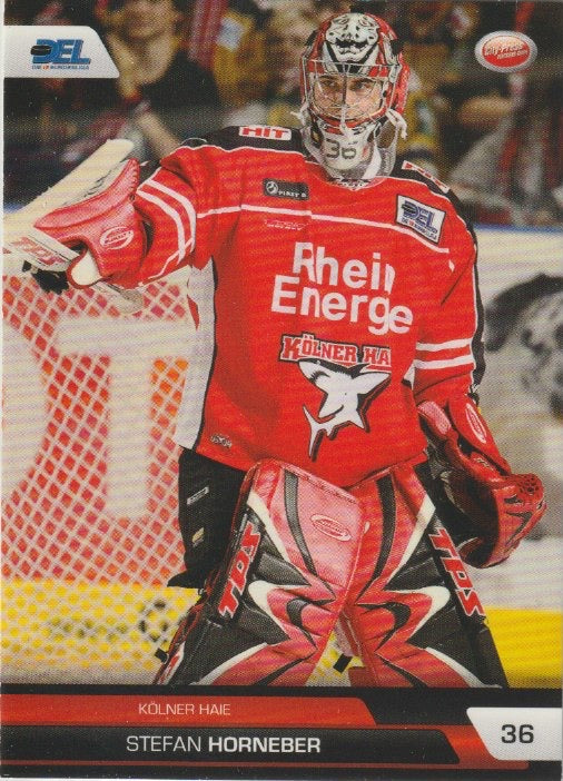 DEL 2008/09 CityPress - No 256 - Stefan Horneber