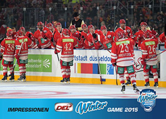 DEL 2014-15 CityPress - No 620 - Winter Game