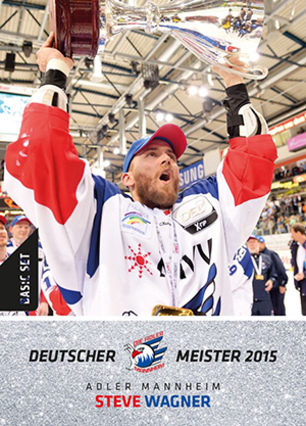 DEL 2015-16 Citypress Basic Meisterset - No 297 - Steve Wagner