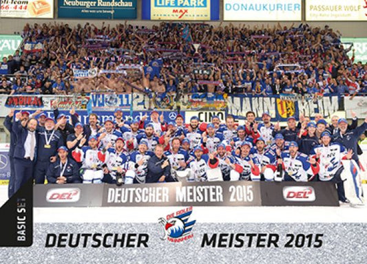 DEL 2015-16 Citypress Basic Masterset - No 300 - Team