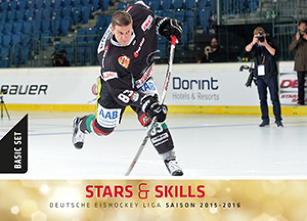 DEL 2015-16 Citypress Basic Stars &amp; Skills - No 260