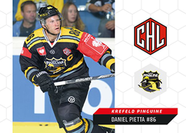 DEL 2015-16 Citypress Premium - No 142 - Daniel Pietta