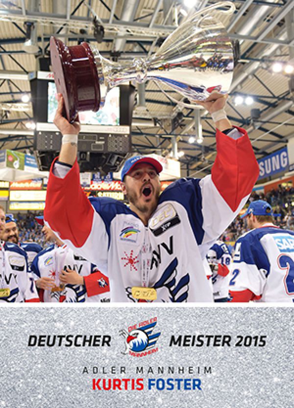 DEL 2015-16 Citypress Premium - No 279 - Kurtis Foster