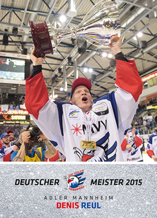 DEL 2015-16 Citypress Premium - No 291 - Denis Reul