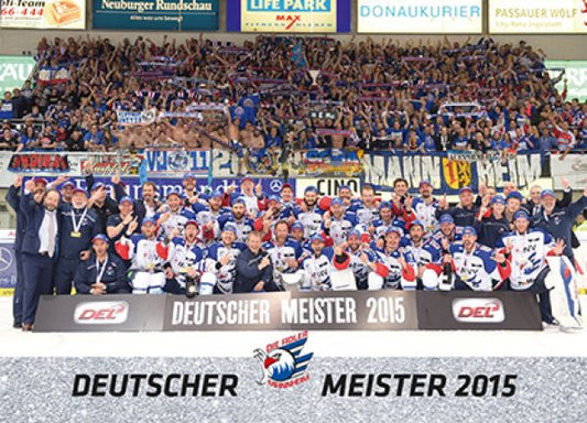 DEL 2015-16 Citypress Premium - No 300 - Team