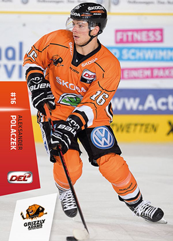 DEL 2014-15 CityPress - No 263 - Aleksander Polaczek