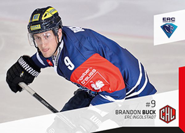 DEL 2014-15 CityPress - No 356 - Brandon Buck