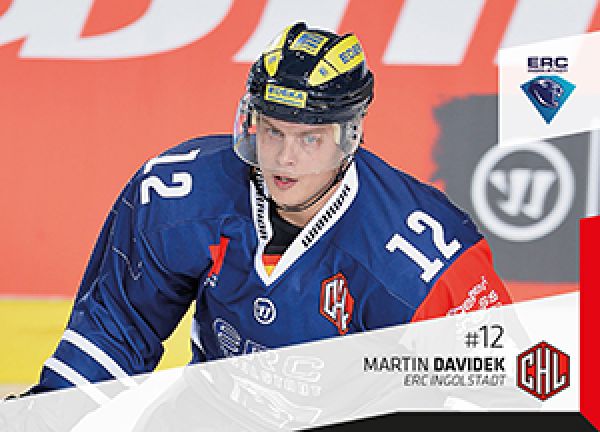 DEL 2014-15 CityPress - No 357 - Martin Davidek