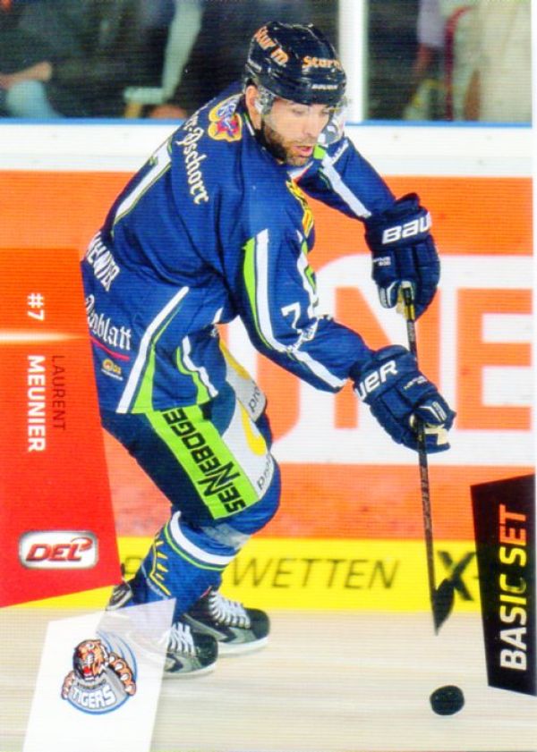 DEL 2014-15 CityPress Basic Set - No 242 - Laurent Meunier