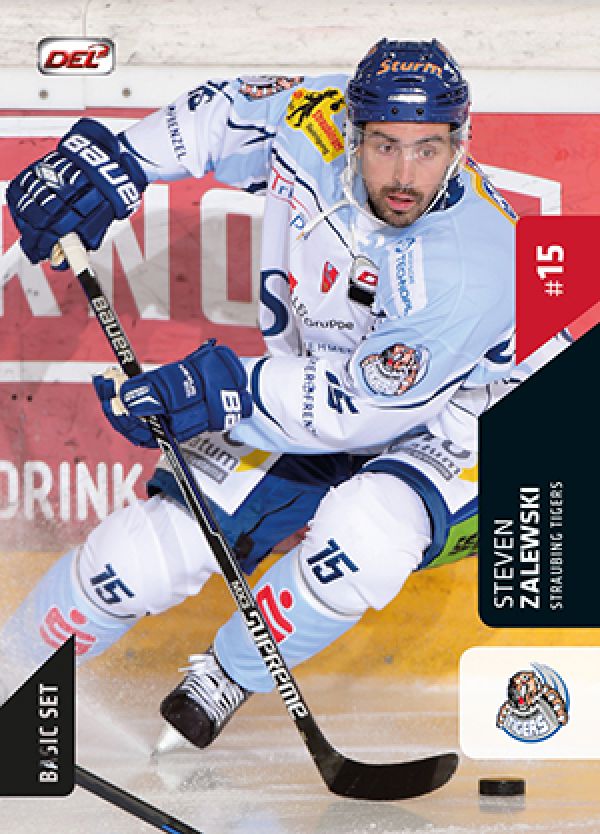 DEL 2015-16 Citypress Basic - No 232 - Steven Zalewski