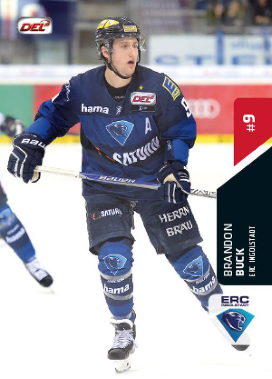 DEL 2015-16 Citypress Premium - No 398 - Brandon Buck