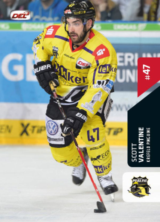 DEL 2015-16 Citypress Premium - No 453 - Scott Valentine