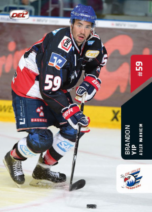 DEL 2015-16 Citypress Premium - No 494 - Brandon Yip