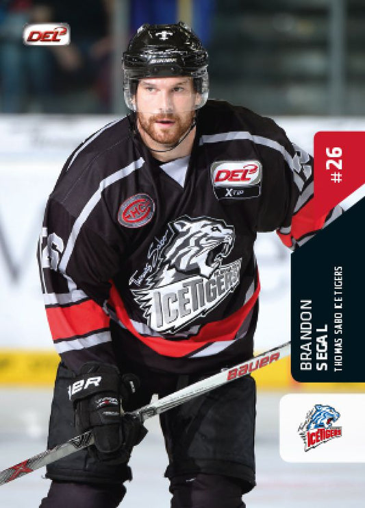 DEL 2015-16 Citypress Premium - No 547 - Brandon Segal