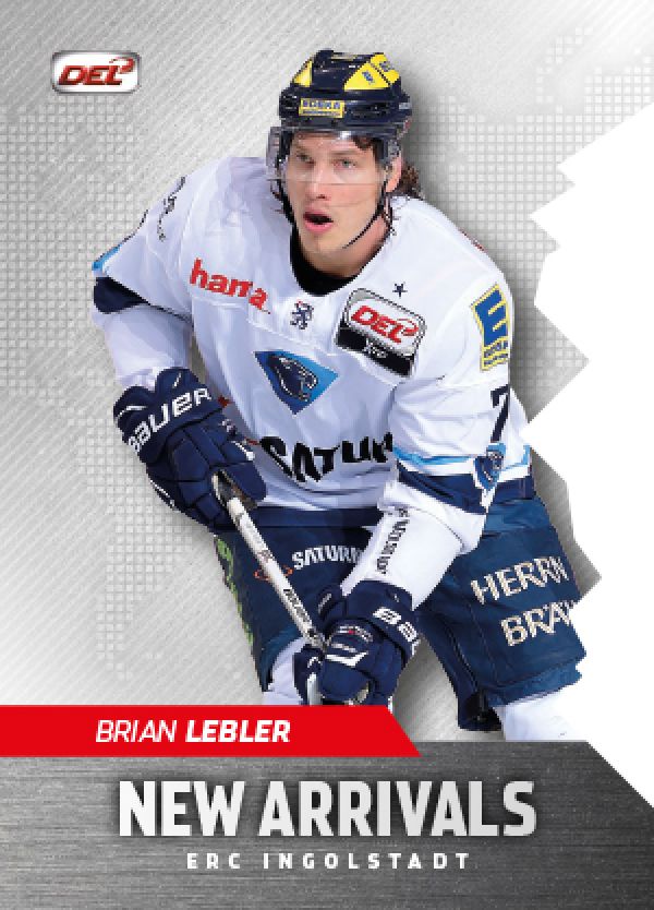 DEL 2015-16 Citypress Premium  New Arrivals - No NA05 - Brian Lebler