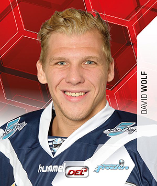 DEL 2015-16 Citypress Sticker - No 110 - David Wolf