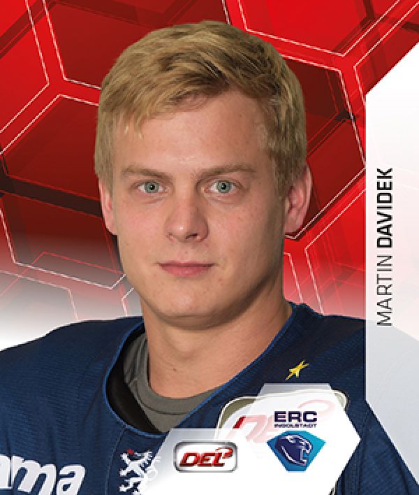 DEL 2015-16 Citypress Sticker - No 116 - Martin Davidek