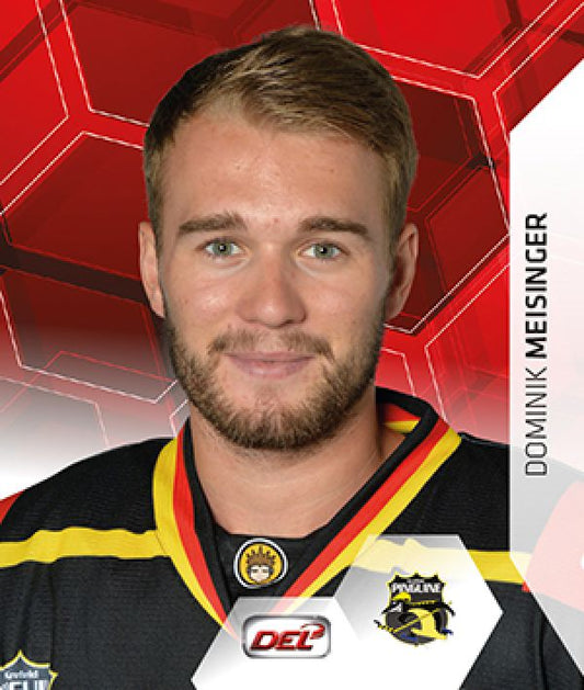 DEL 2015-16 Citypress Sticker - No 209 - Dominik Meisinger