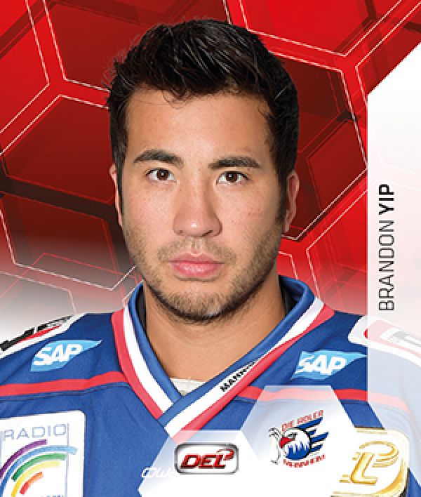 DEL 2015-16 Citypress Sticker - No 248 - Brandon Yip