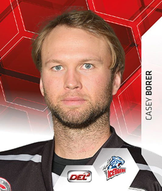 DEL 2015-16 Citypress Sticker - No 279 - Casey Borer