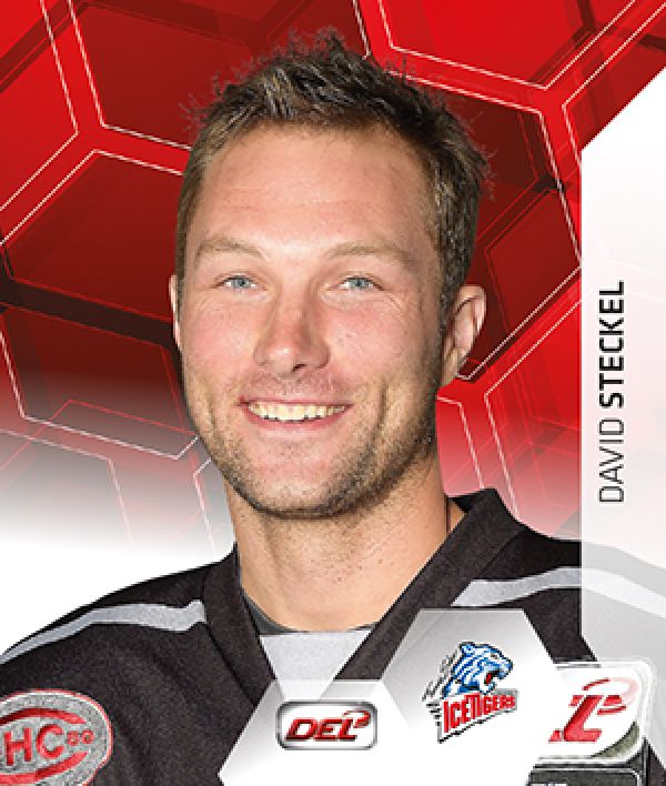 DEL 2015-16 Citypress Sticker - No 303 - David Steckel