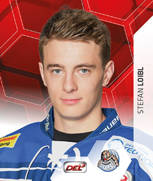 DEL 2015-16 Citypress Sticker - No 344 - Stefan Loibl