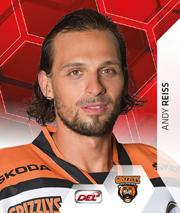 DEL 2015-16 Citypress Sticker - No 371 - Andy Reiss