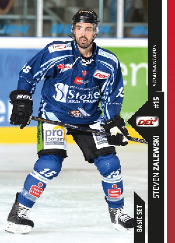 DEL 2016 - 17 Citypress Basic - No 193 - Steven Zalewski