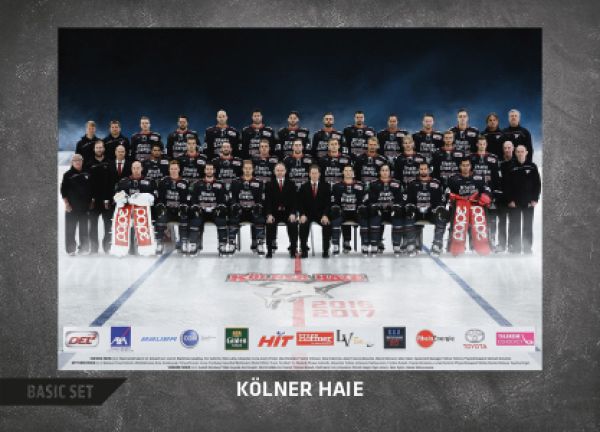 DEL 2016 - 17 Citypress Basic - No 277 - Team Kölner Haie