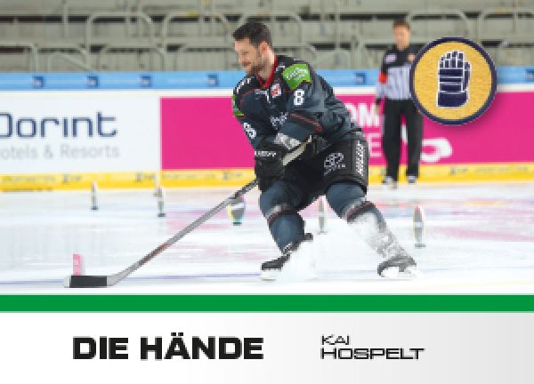 DEL 2016 - 17 Citypress Basic Die Hände - No HD07 - Kai Hospelt