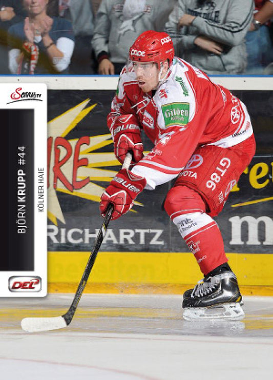 DEL 2012-13 CityPress - No 159 - Björn Krupp