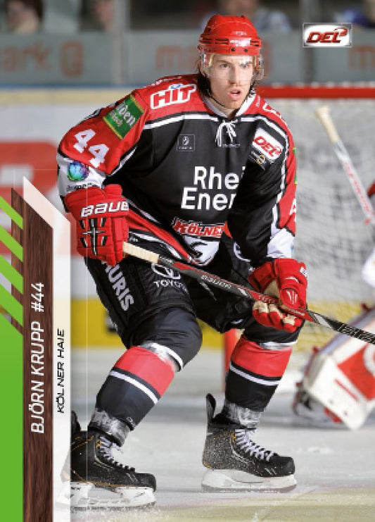 DEL 2013-14 CityPress - No 264 - Björn Krupp