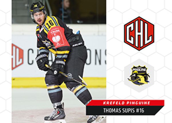 DEL 2015-16 Citypress Premium - No 147 - Thomas Supis