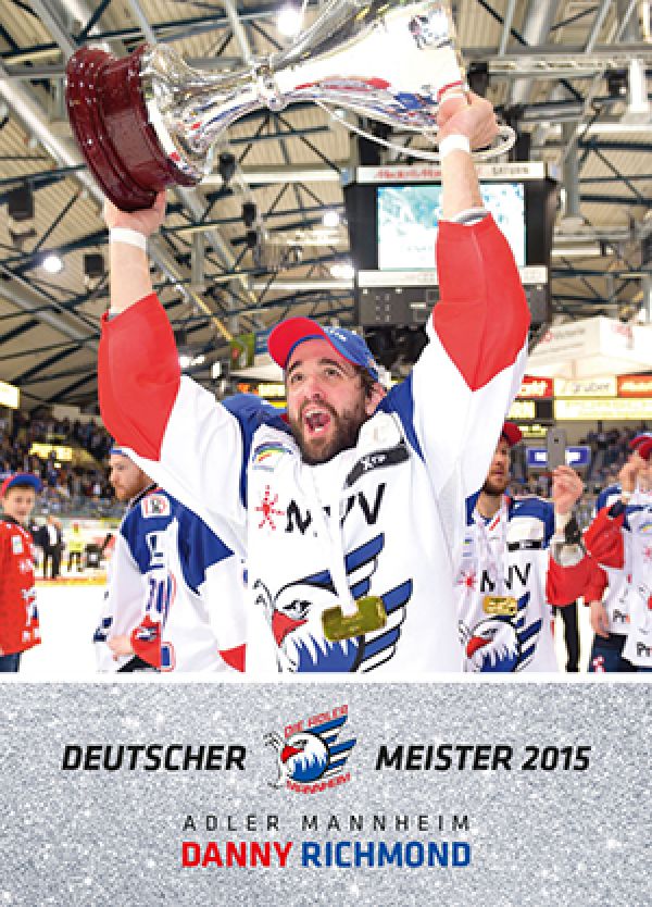 DEL 2015-16 Citypress Premium - No 293 - Danny Richmond