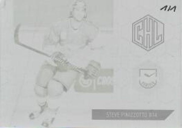 DEL 2015-16 Citypress Premium Press Plate - No 183 - Steve Pinizzotto