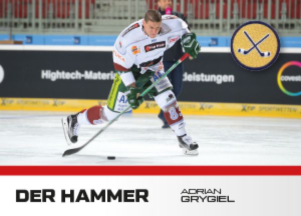 DEL 2016 - 17 Citypress Basic The Hammer - No HM01 - Adrian Grygiel